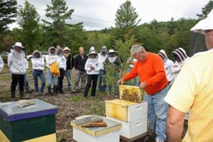 Spicer Bees Maine Beekeepers school